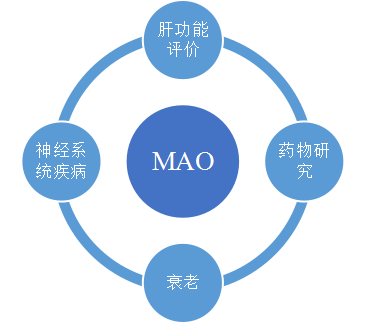 MAO活性测定的主要应用研究