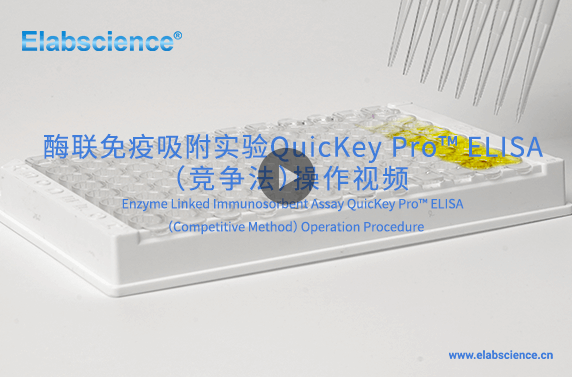 QuicKey Pro ELISA（竞争法）操作视频