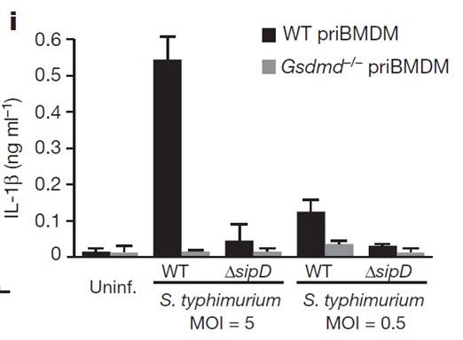 ELISA检测priBMDM细胞中IL-1β
